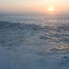 Экологи: Мировой океан задыхается от недостатка кислорода