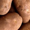 Перу и Чили спорят о происхождении картошки