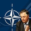 Симоненко требует себе денег на популяризацию НАТО в стране