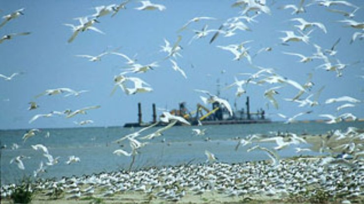 Украину признали главным загрязнителем Дуная