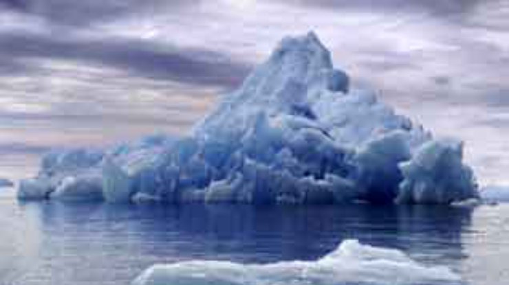 Айсберги разрушают экосистему Антарктиды