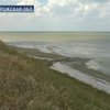 Молочный лиман в Азовском море  высыхает