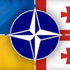 Украину и Грузию по-прежнему ждут в НАТО