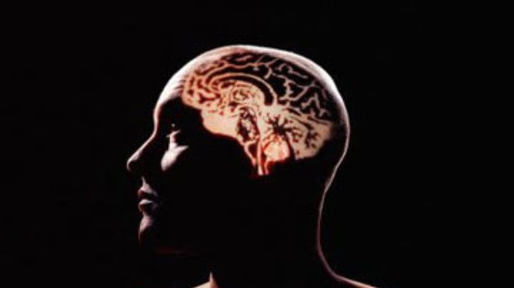Ученые: Мозг начинает стремительно стареть после 39 лет