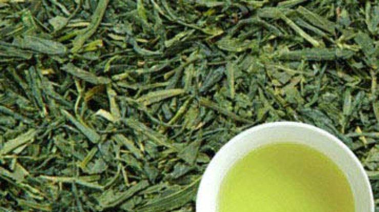Зеленый чай опасен для почек