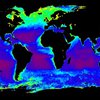 Ученые: Потепление ведет к деградации мирового океана