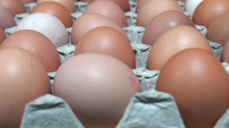 Ученые опровергли миф о вреде яиц