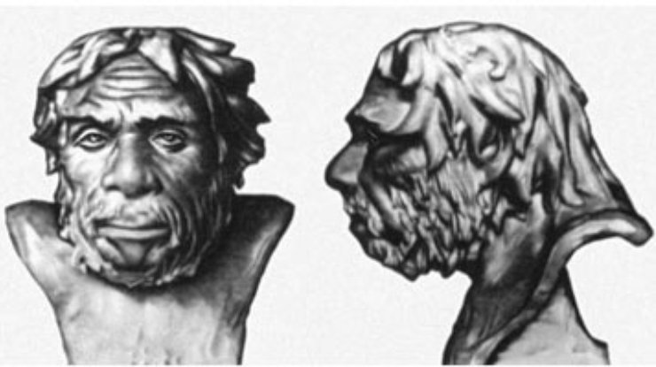 Ученые обнаружили, что неандертальцы умели говорить
