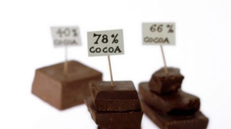 Темный шоколад и черника препятствуют диабету