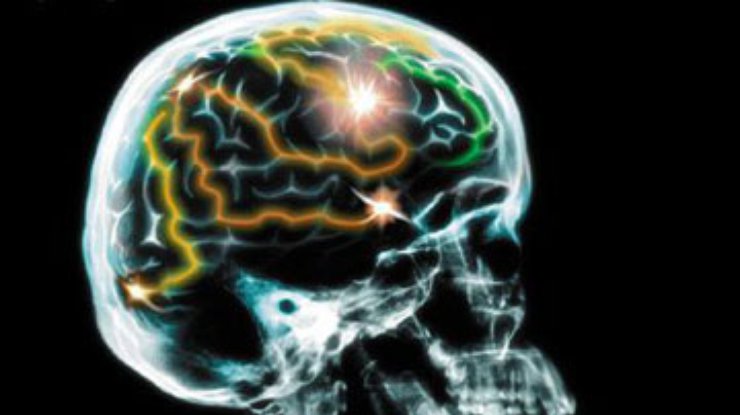 Ученые выяснили, как мозг контролирует движения тела