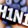 Первые случаи гриппа A/H1N1 выявлены в Словакии и на Кипре