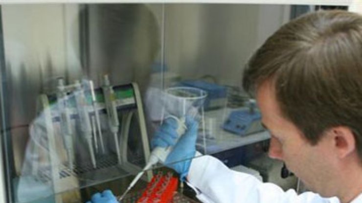 В России готовятся к испытаниям вакцины против вируса H1N1