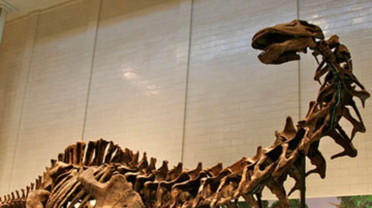 Динозавры весили вдвое меньше, чем считается