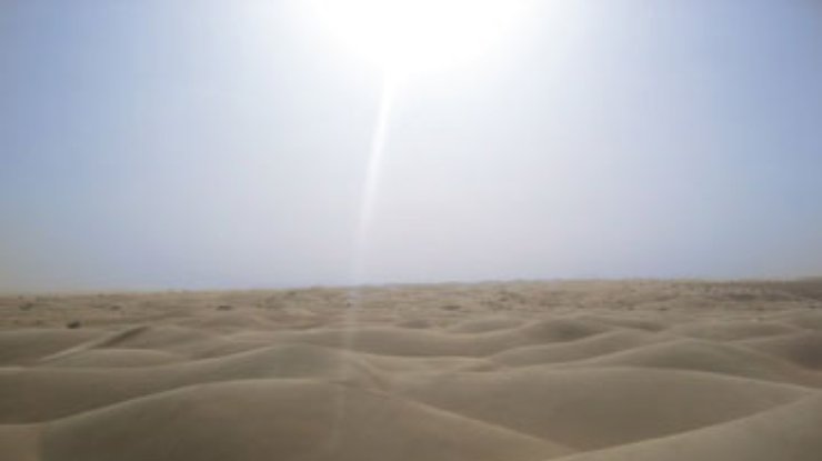 Ученые заметили признаки озеленения Сахары
