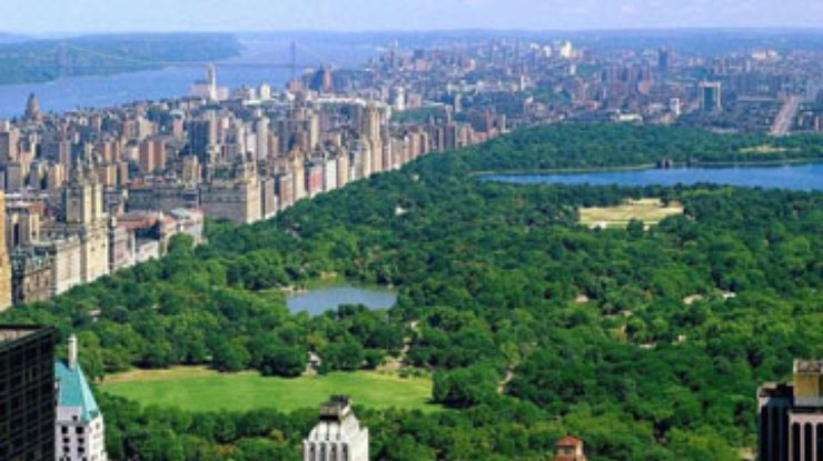 В Нью-Йорке проведут первую в истории перепись кузнечиков