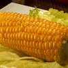 Евросоюз не разрешил импорт американской ГМ-кукурузы