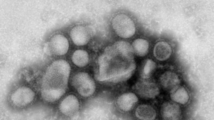 Медики открыли простой способ убивать вирус H1N1