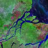 Скорость уничтожения лесов Амазонки рекордно снизилась