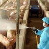 В Европе подозревают, что "свиной" грипп - грандиозная афера