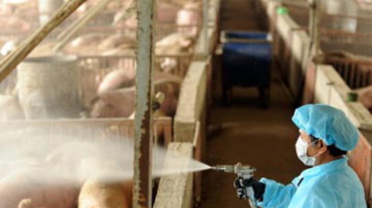 В Европе подозревают, что "свиной" грипп - грандиозная афера