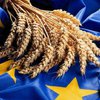 ЕС разочаровался в Украине за 5 лет
