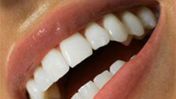 В Британии вырастили зубы из стволовых клеток