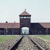 Охранника Освенцима уволили из-за кражи символа концлагеря