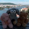 В Чехии появилось турагентство для мягких игрушек