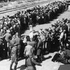 В Польше нашли документы об издевательствах над узниками Освенцима