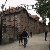 В Освенциме нашли документы с новыми фактами о лагере смерти
