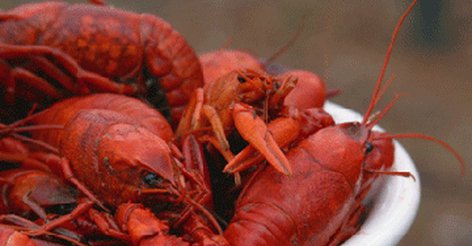 Что рак может подарить Что рак может подарить