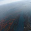 Нефть в Мексиканском заливе будет вытекать до августа - власти США