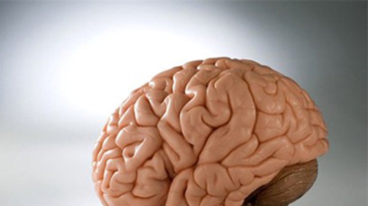 Мозг воспринимает человеческое тело искаженно