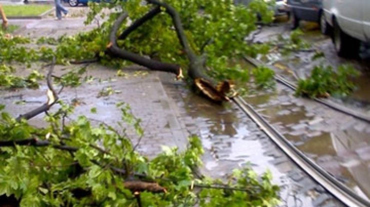 Ураган обрушился на Харьков: Парализован транспорт, погибла девушка