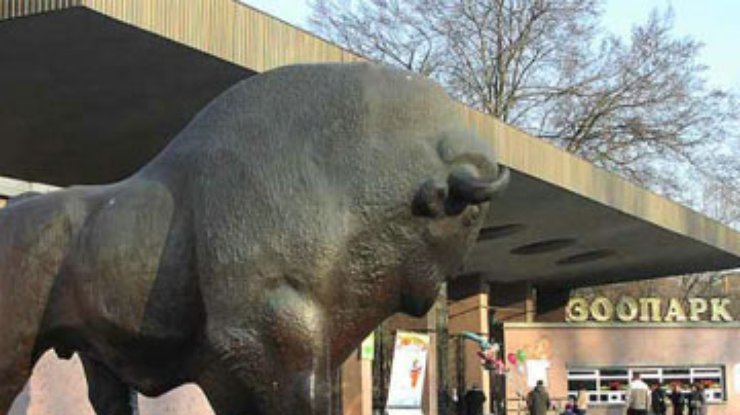 Животных в столичном зоопарке не травили - МВД