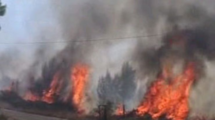 В Луганской области горит 160 га леса, эвакуирован детский лагерь