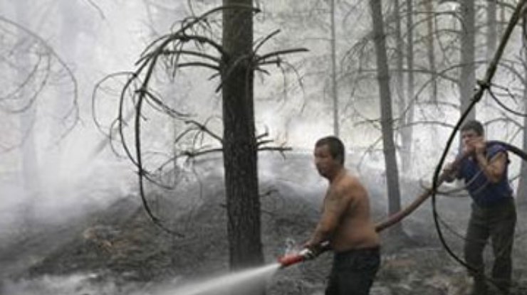 Площадь лесных пожаров в России уменьшилась