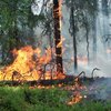 За сутки в Украине потушены 34 лесных пожара