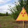 МЧС опровергло слухи о пожаре в Чернобыльской зоне