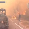 В Португалии пожары подступают к населенным пунктам