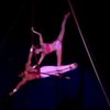 На Кубе проходит фестиваль циркового искусства