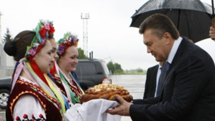 Янукович: Хлеб не подорожает