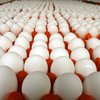 В США отзывают из продажи более 200 миллионов яиц