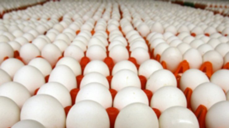 В США отзывают из продажи более 200 миллионов яиц