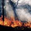 В Украине чрезвычайная пожароопасность