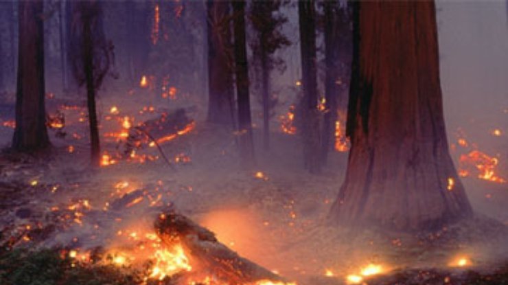 Турцию охватили лесные пожары.