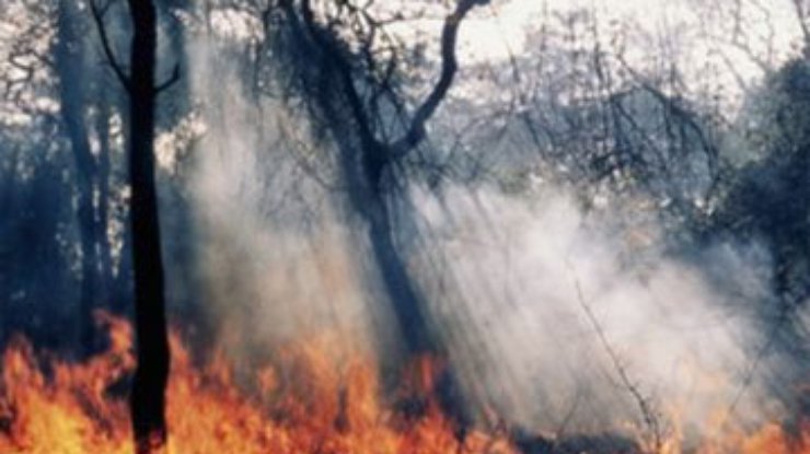 В Украине чрезвычайная пожароопасность