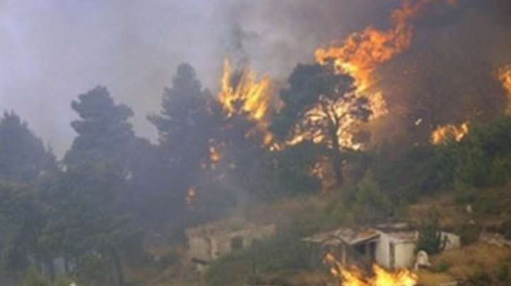 В Греции лесной пожар подбирается к жилым домам