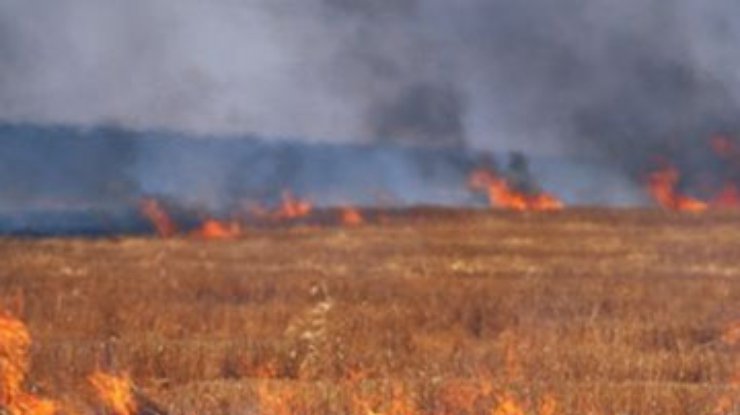 На Луганщине сгорели 20 гектаров сухой травы