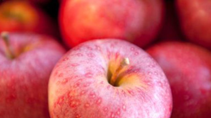 Ученые нашли дикого предка яблони